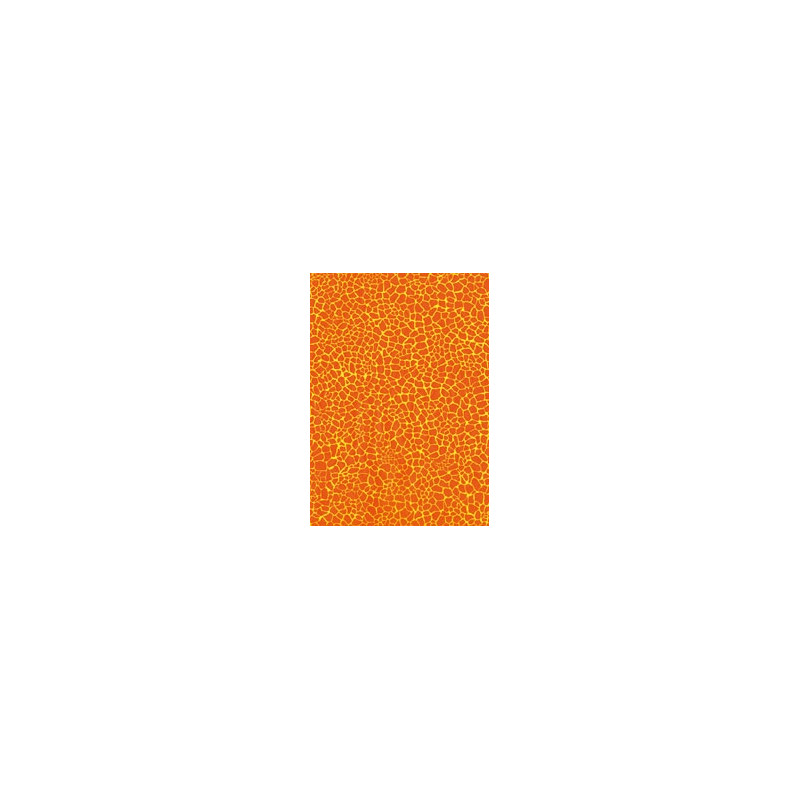 Feuille Décopatch, n°532 Feuille Décopatch, n°532